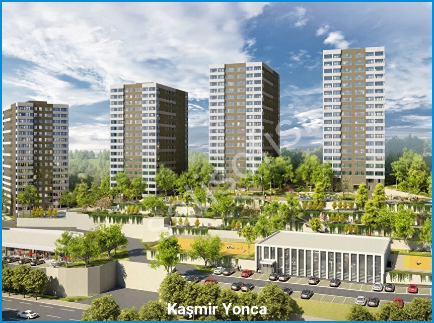 Kaşmir Yonca 2