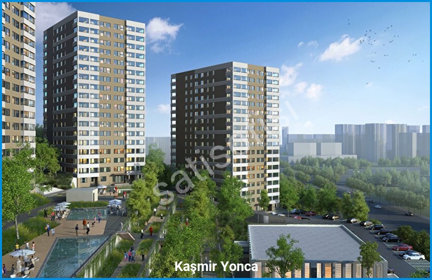 Kaşmir Yonca 3