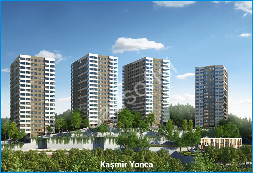 Kaşmir Yonca 4