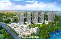 Kaşmir Mavi Orkide
