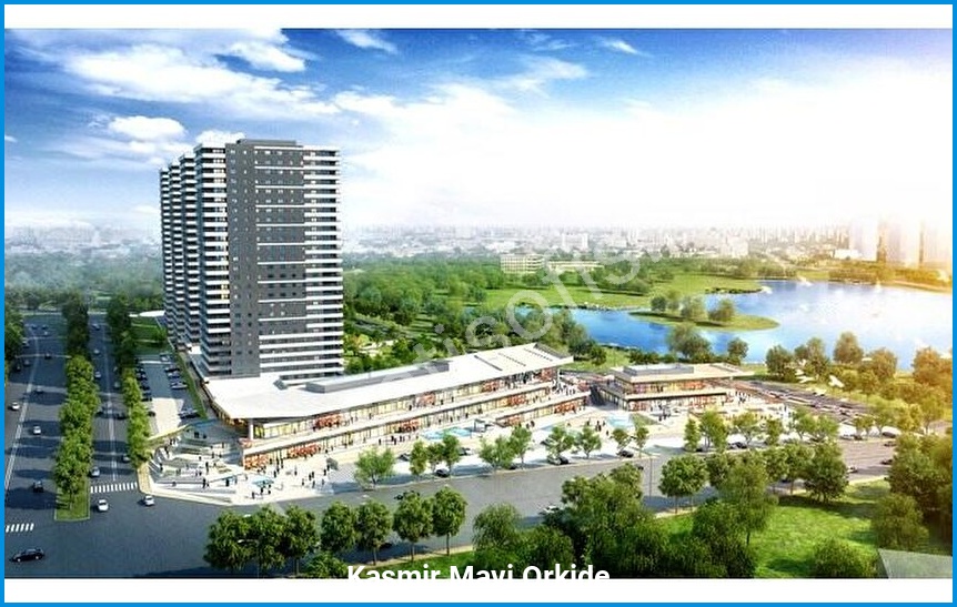 Kaşmir Mavi Orkide 5