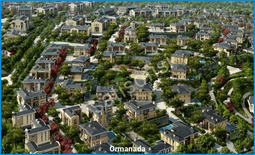 Ormanada görsel 2