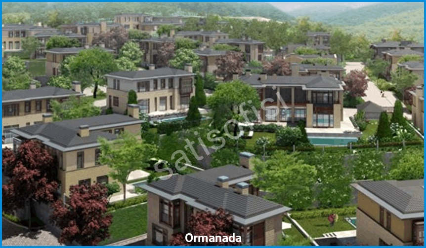 Ormanada görsel 3