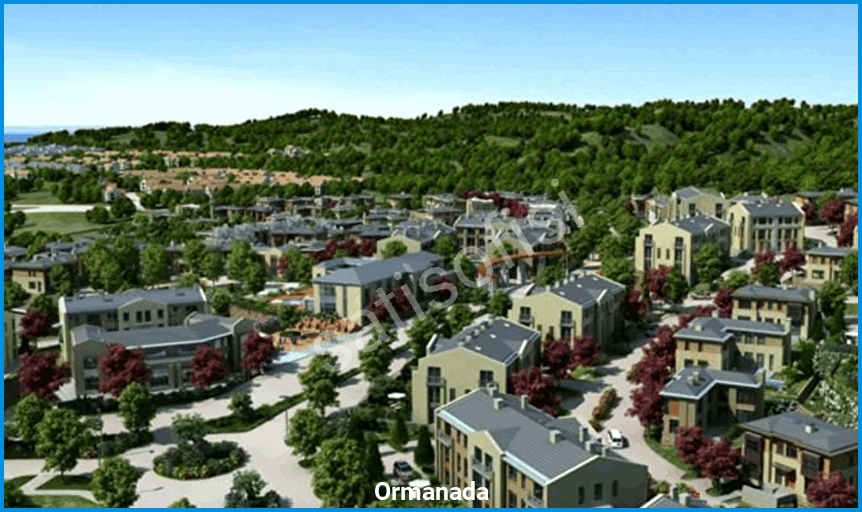 Ormanada görsel 4