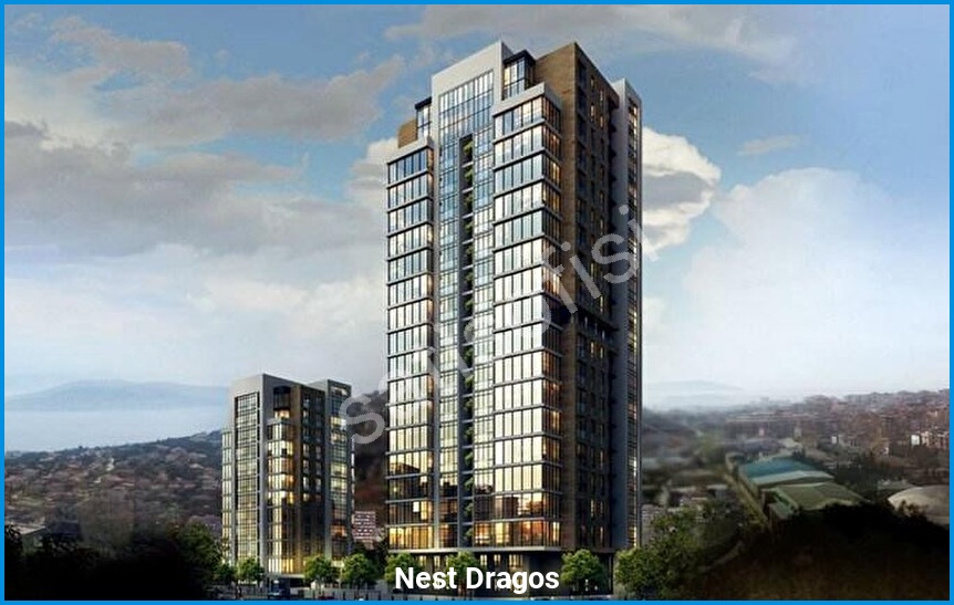 Nest Dragos görsel 2