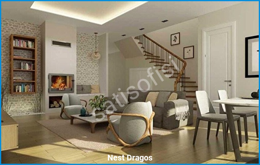 Nest Dragos görsel 3