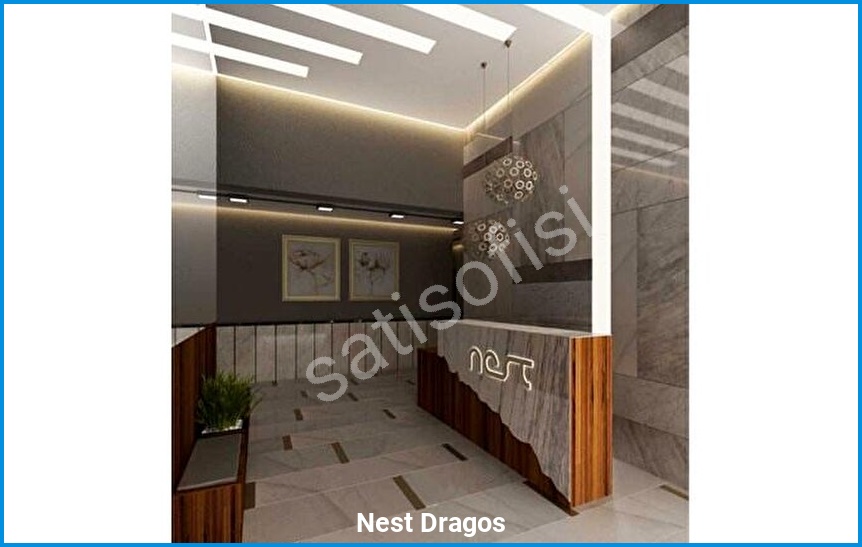 Nest Dragos görsel 9
