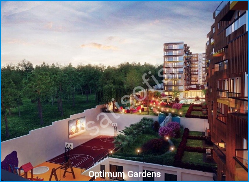 Optimum Gardens 11
