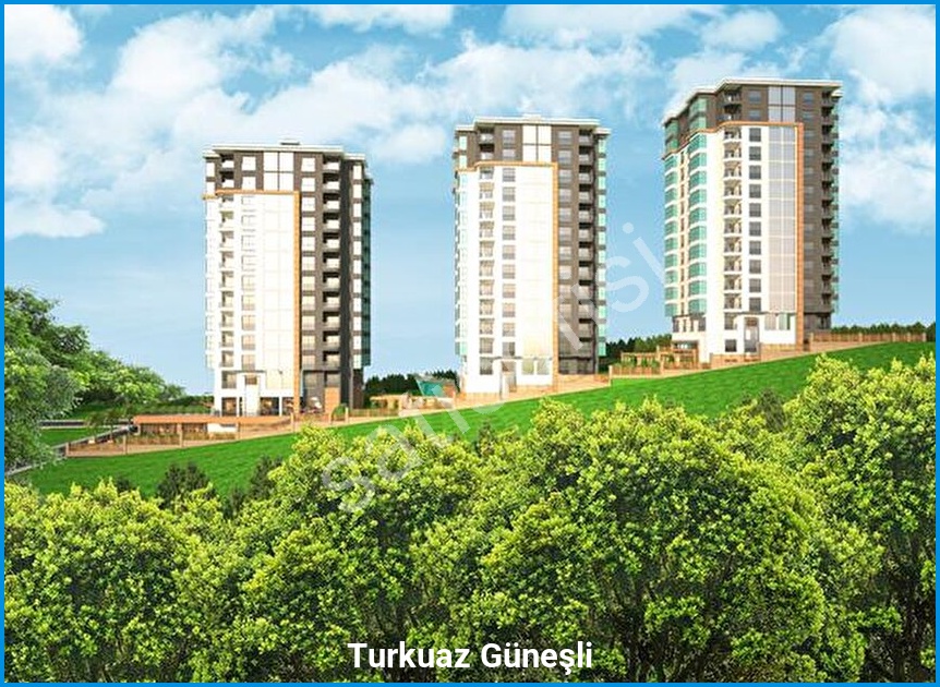 Turkuaz Güneşli 7