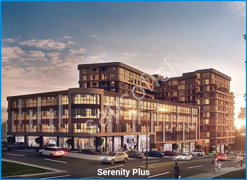 Serenity Plus 3