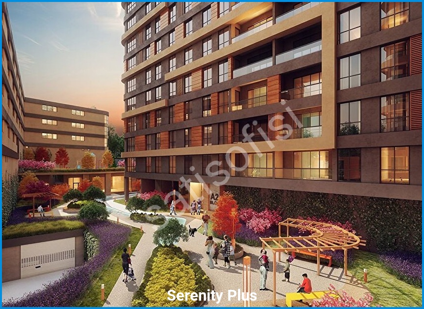 Serenity Plus 4