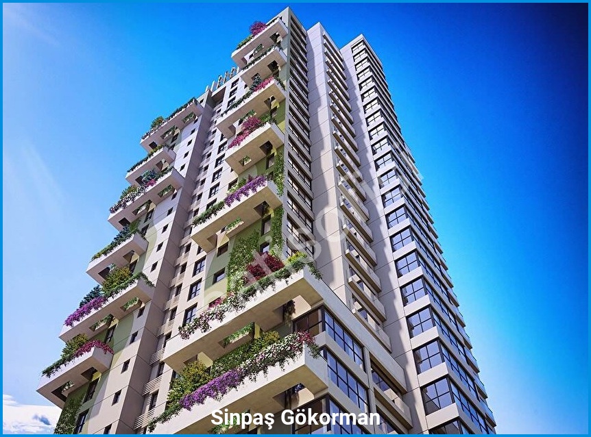 Sinpaş Gökorman görsel 4