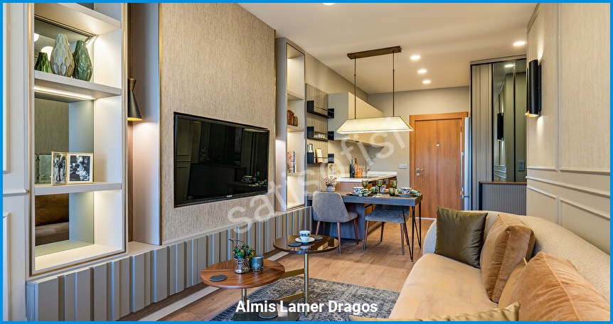 Almis Lamer Dragos görsel 2