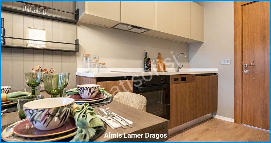 Almis Lamer Dragos görsel 6