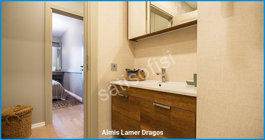 Almis Lamer Dragos görsel 7