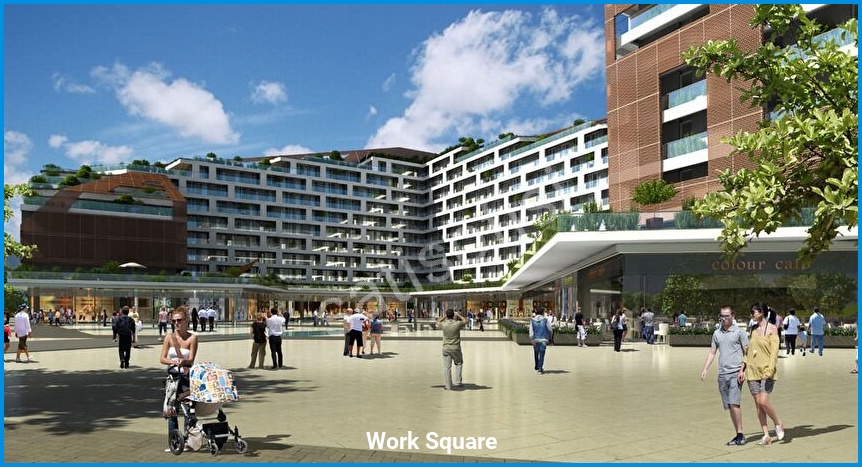 Work Square 12