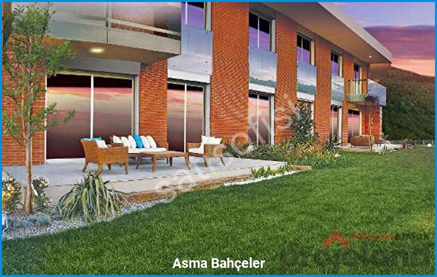 Asma Bahçeler 4