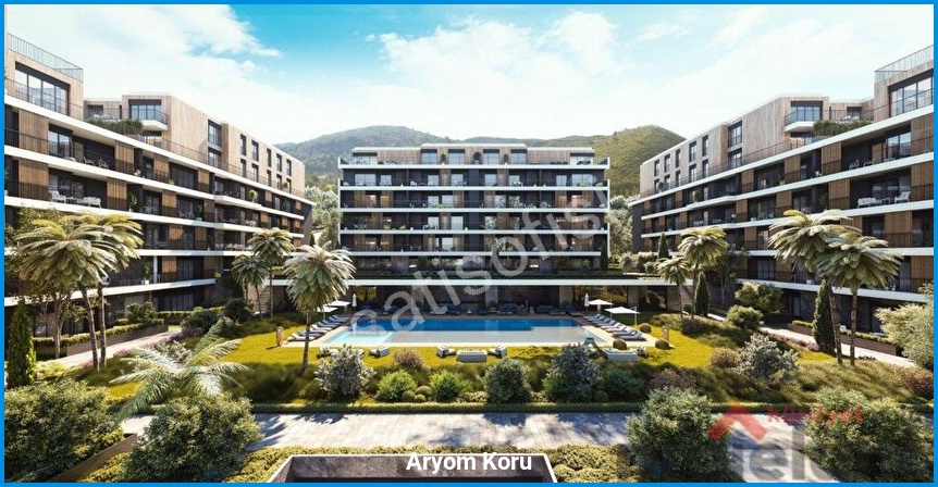 Aryom Koru görsel 5