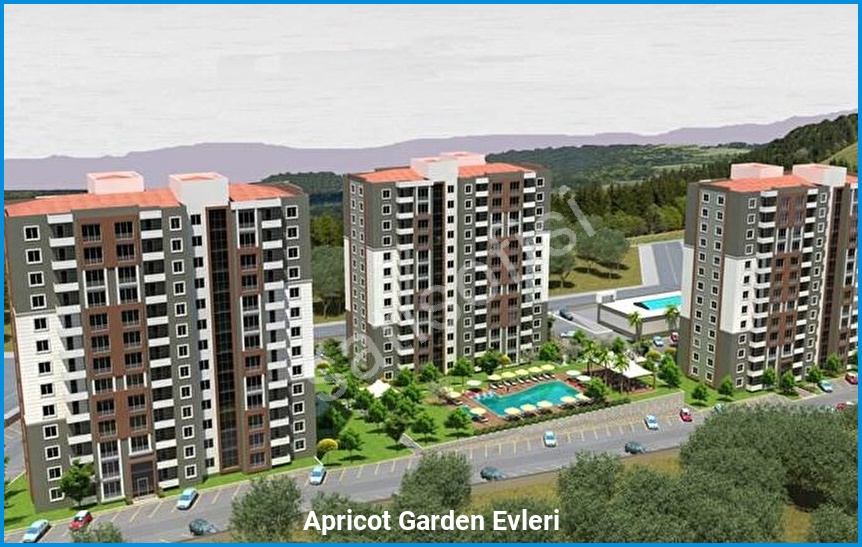 Apricot Garden Evleri - Proje Görseli 3
