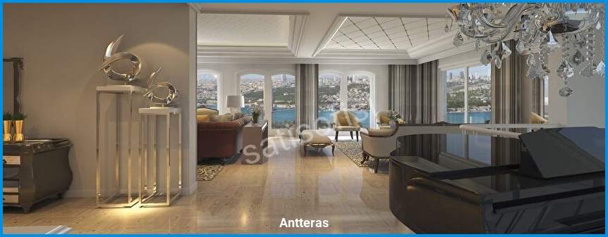 Antteras görsel 3