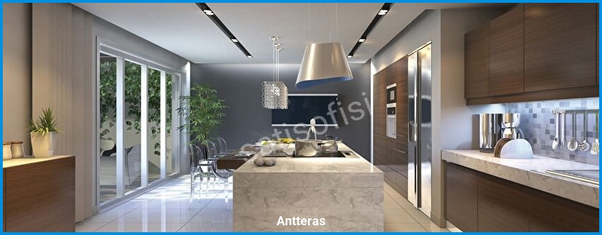 Antteras görsel 4