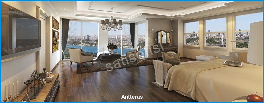 Antteras görsel 6