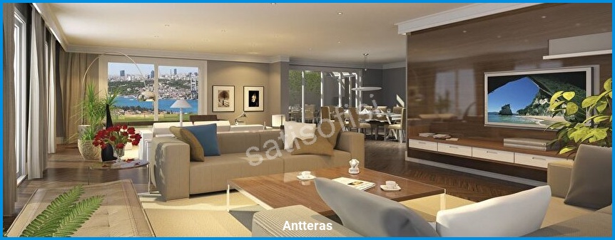 Antteras görsel 7