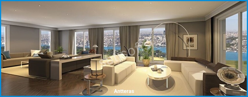 Antteras görsel 8