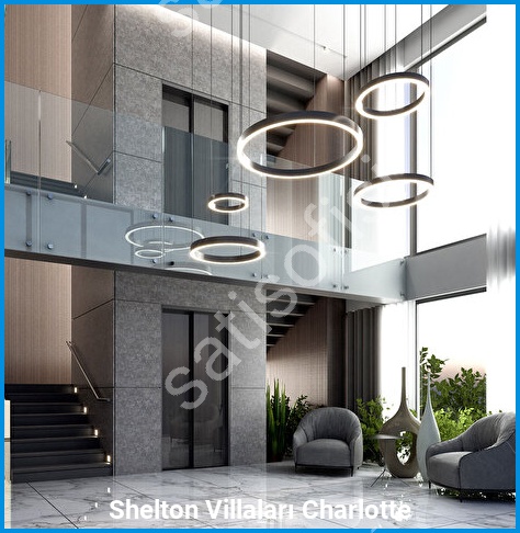 Shelton Villaları Charlotte 11