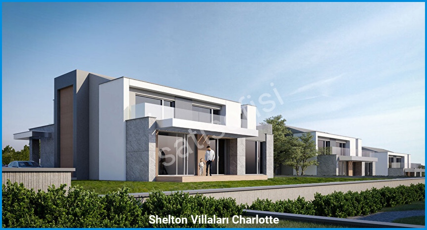 Shelton Villaları Charlotte 4