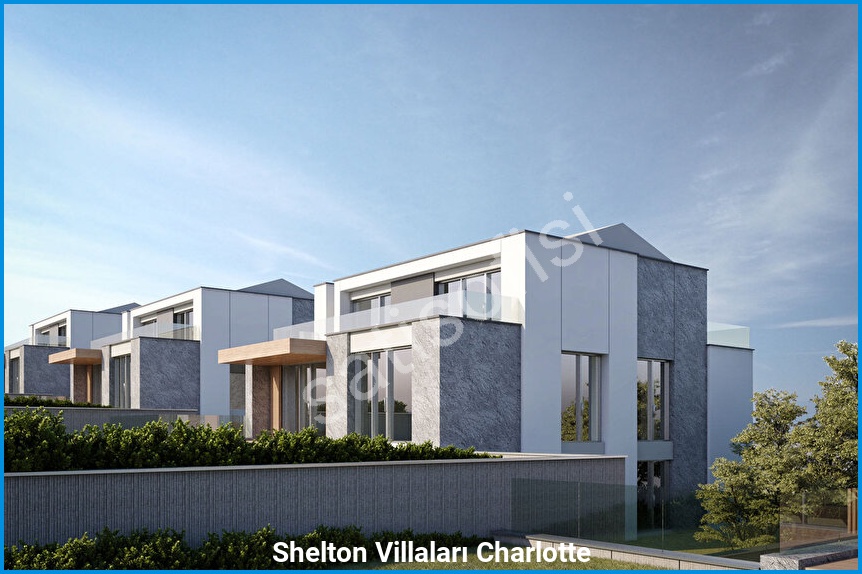 Shelton Villaları Charlotte 5