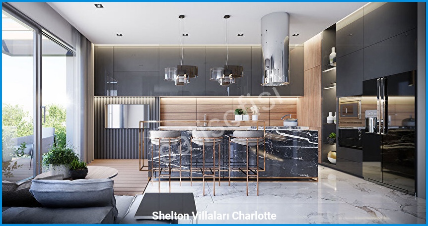 Shelton Villaları Charlotte 9