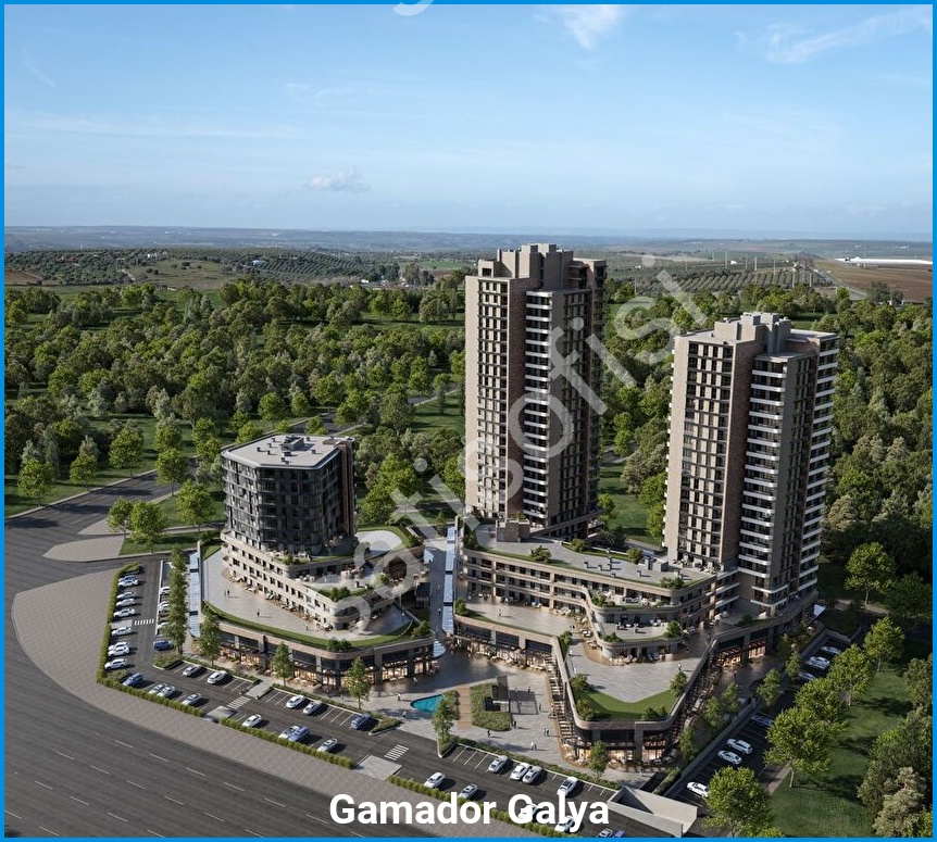 Gamador Galya 11