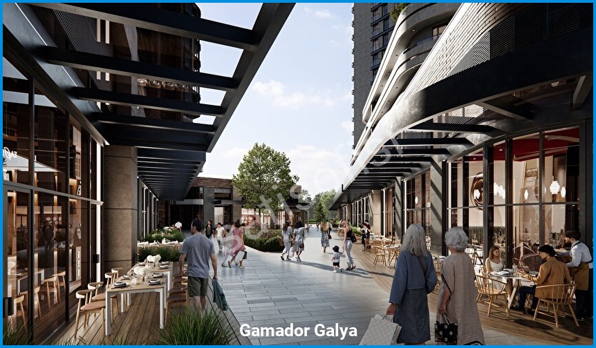 Gamador Galya 12