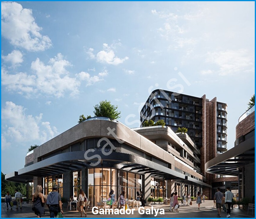 Gamador Galya 2