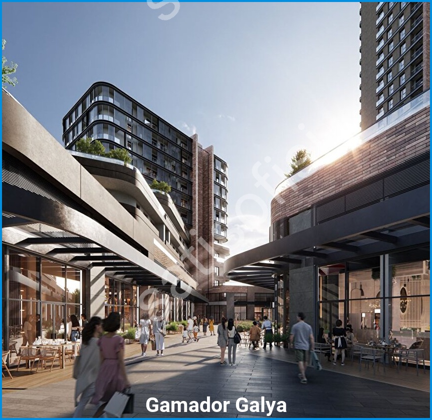 Gamador Galya 5