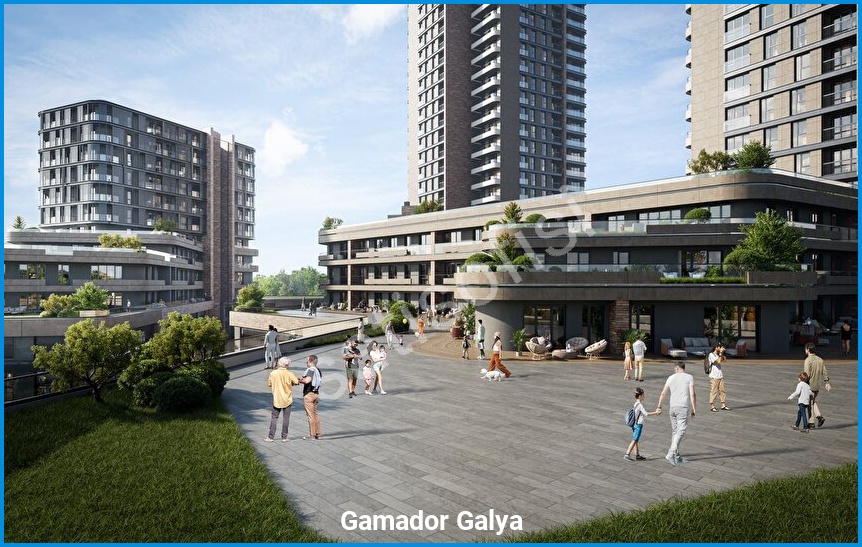 Gamador Galya 8