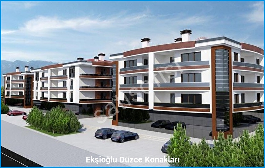 Ekşioğlu Düzce Konakları 7