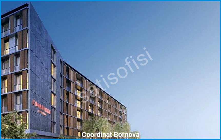 Coordinat Bornova - Proje Görseli 5