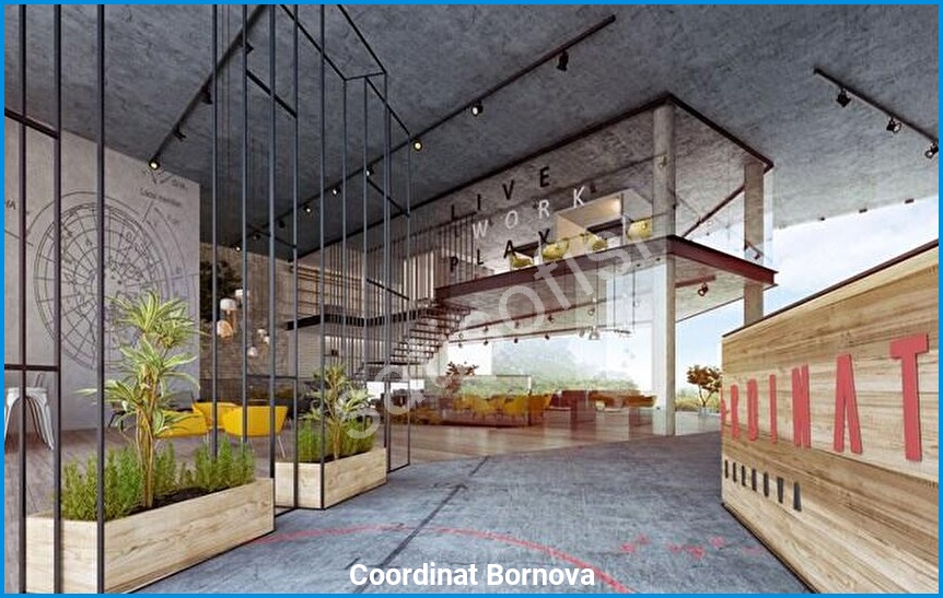 Coordinat Bornova - Proje Görseli 7