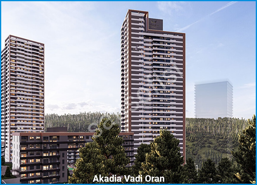 Akadia Vadi Oran 17