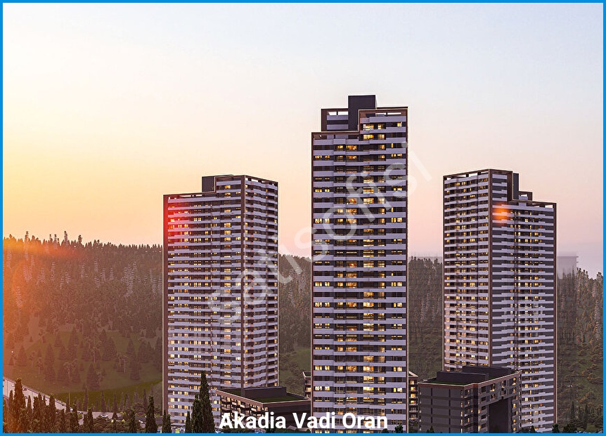 Akadia Vadi Oran 7