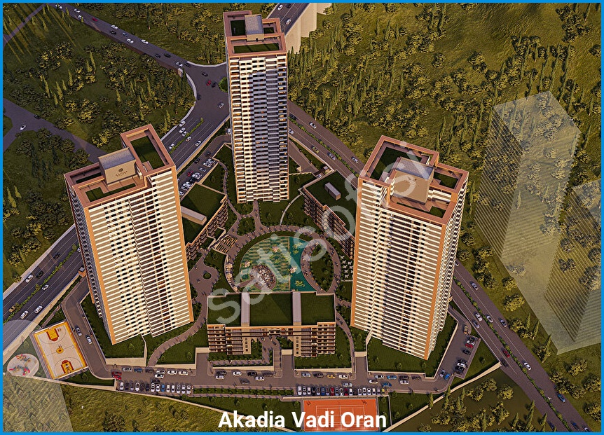 Akadia Vadi Oran 8