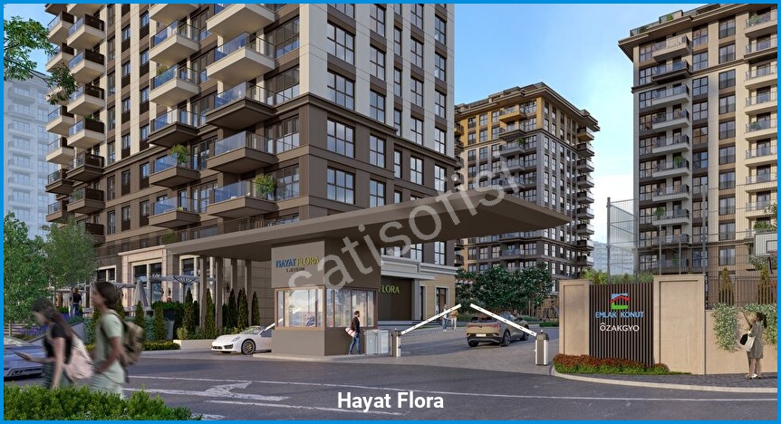 Hayat Flora 4