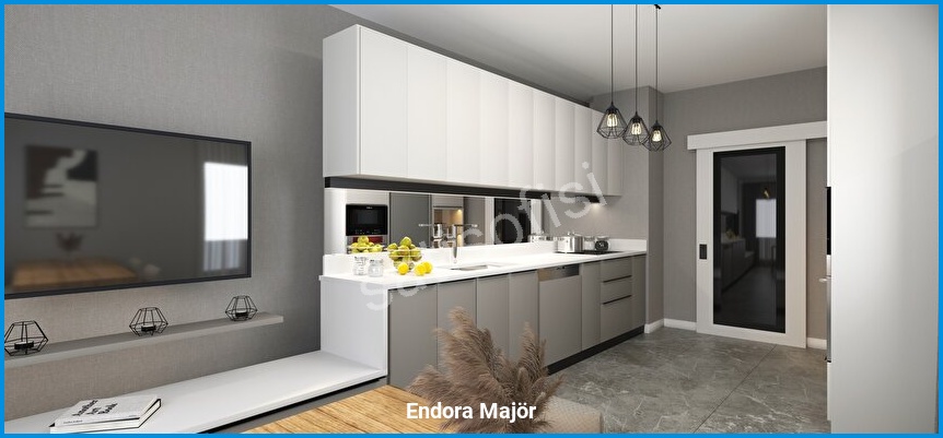 Endora Majör 14