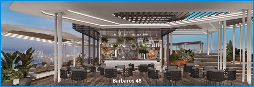 Barbaros 48 — görsel