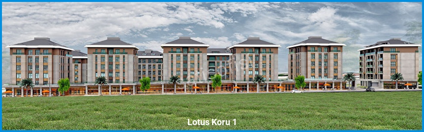 Lotus Koru 1 görsel 2