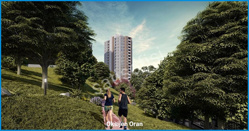 Oksijen Oran 12