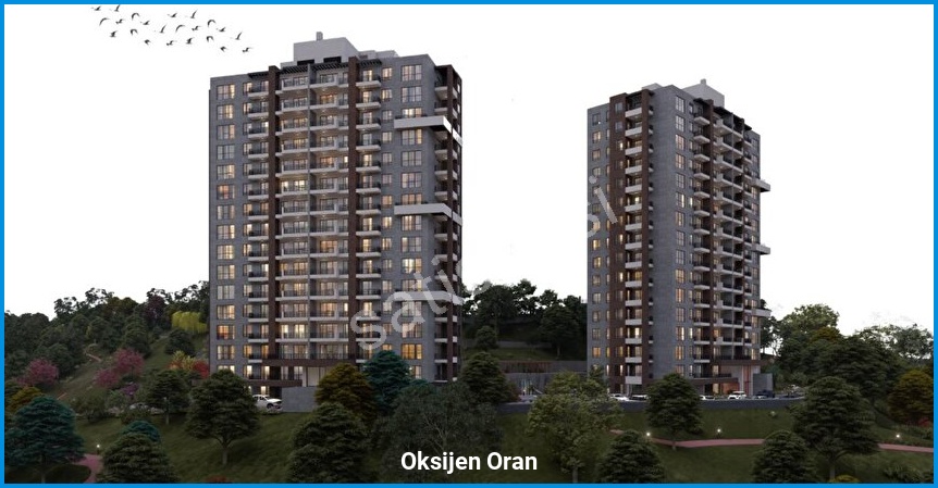 Oksijen Oran 2