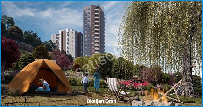 Oksijen Oran 4